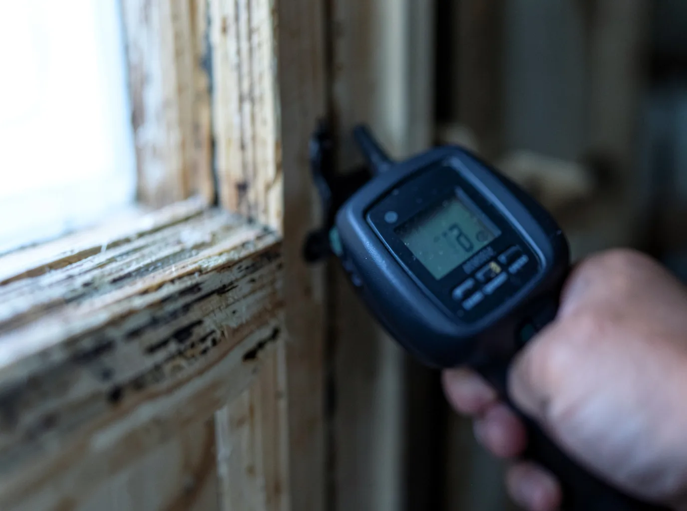 Moisture Inspection And Documentation in Gurley, AL
